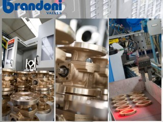 produzione brandonivalves_02_Tavola disegno 1.jpg